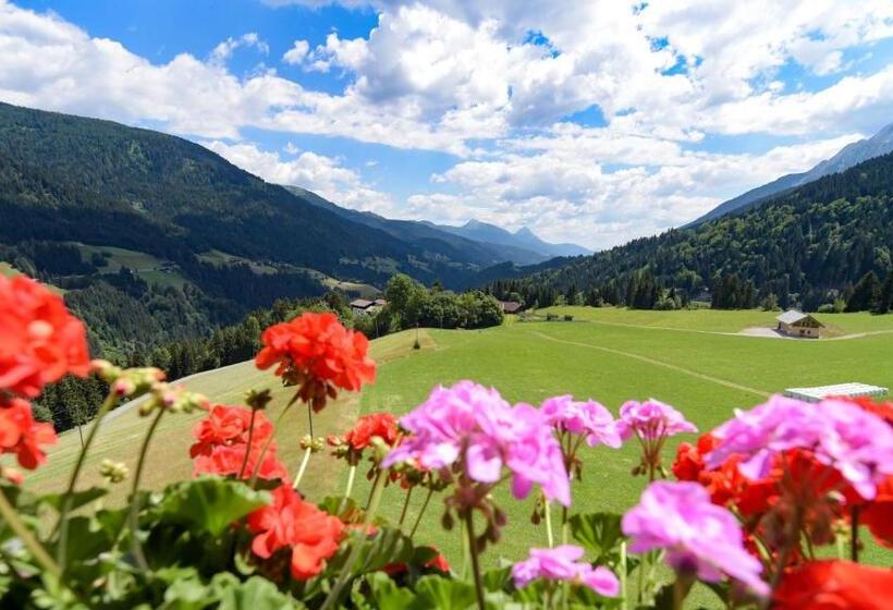 Студия Стандарт, Gailerhof