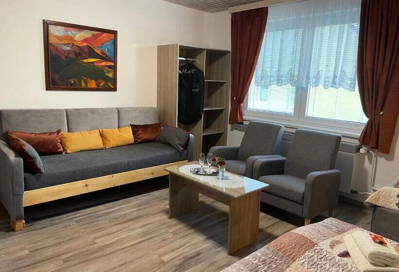 Четырехместный Номер Стандарт, Privát Martin