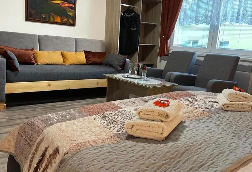 Четырехместный Номер Стандарт, Privát Martin