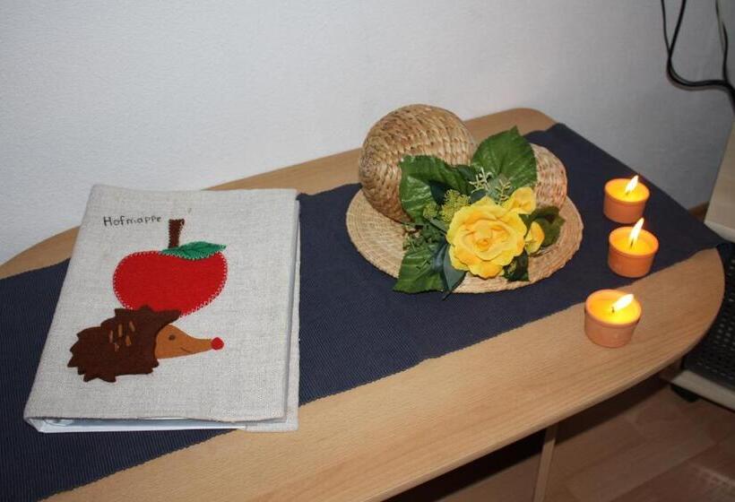 带1个卧室的公寓, Appartements Schusterhof