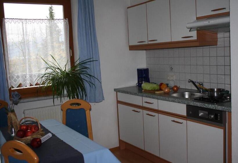 带1个卧室的公寓, Appartements Schusterhof