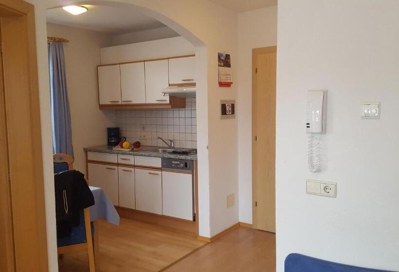 带1个卧室的公寓, Appartements Schusterhof