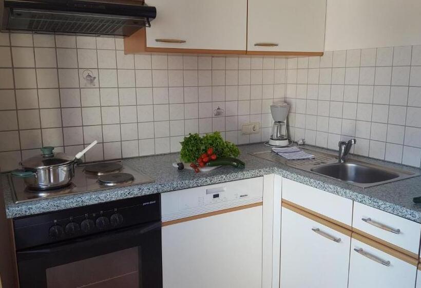 带2个卧室的公寓, Appartements Schusterhof