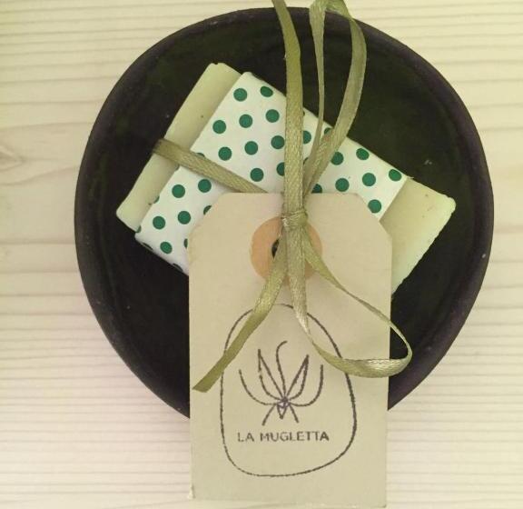 家庭工作室, B&b La Mugletta