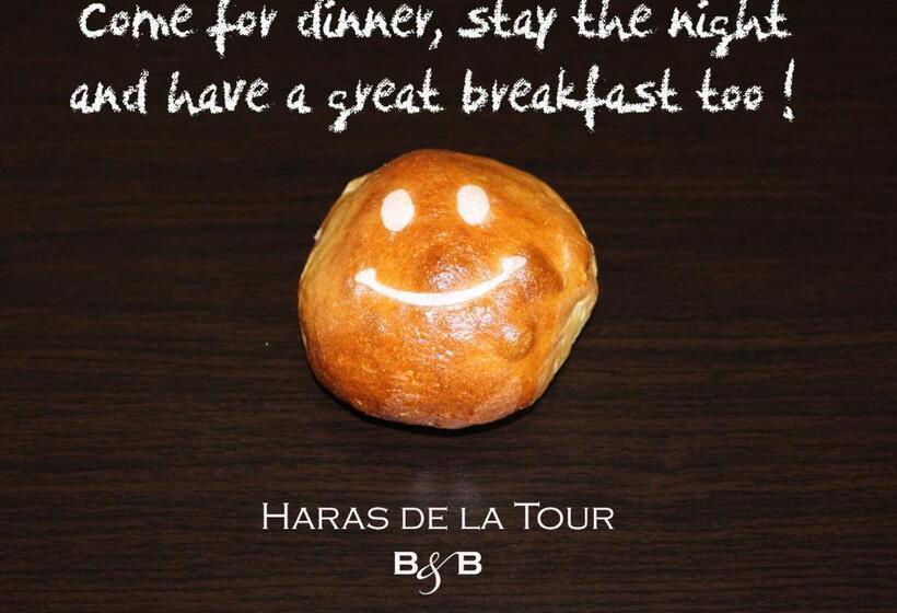 Номер Стандарт Вид на Сад, Ancien Haras De La Tour