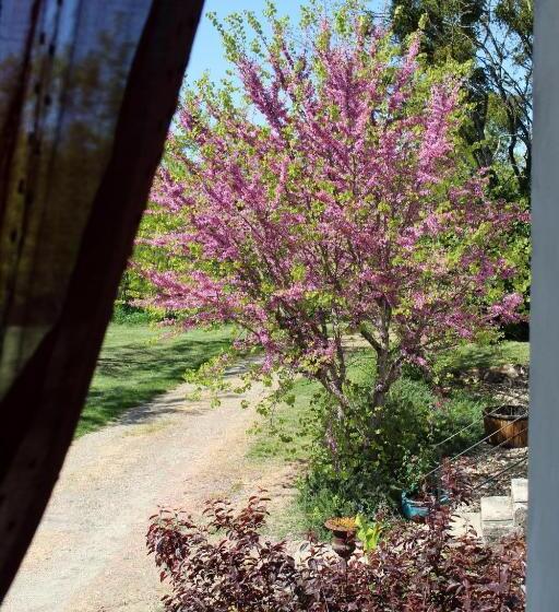 Люкс, Ancien Haras De La Tour