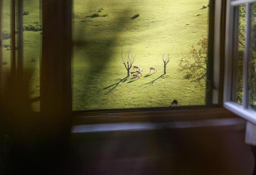 اتاق استاندارد, Bauernhof Kure