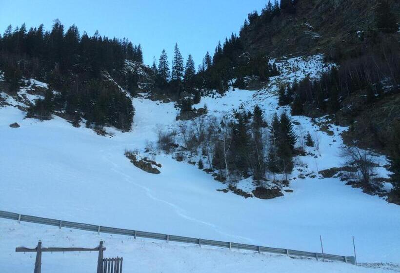 Апартаменты 1 Спальня с Балконом, Joglerhof