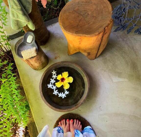 スタンダードルーム, Pousada Spa Oasis