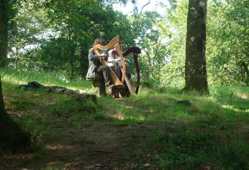 スタンダードルーム, Tyrbourg