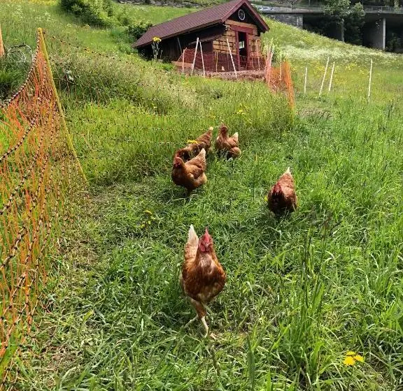 バルコニー付きスタンダードルーム, Villa Brandstätter