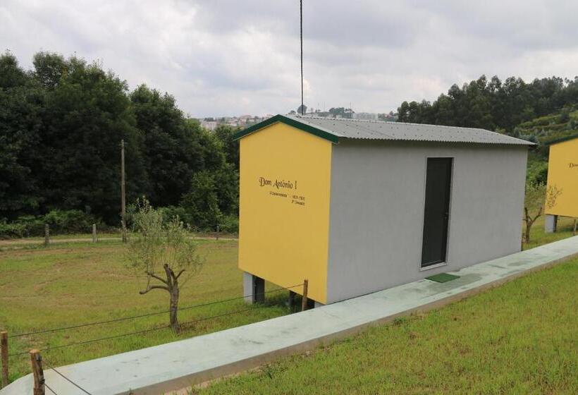 غرفة قياسية, Quinta Da Costa