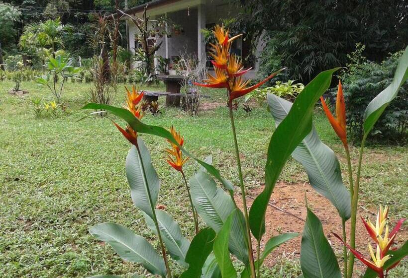 Апартаменты 1 Спальня с Балконом, Nananuira Apartment And Room