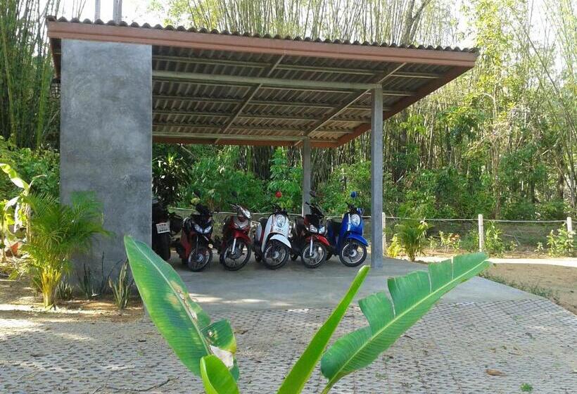 Апартаменты 1 Спальня с Балконом, Nananuira Apartment And Room