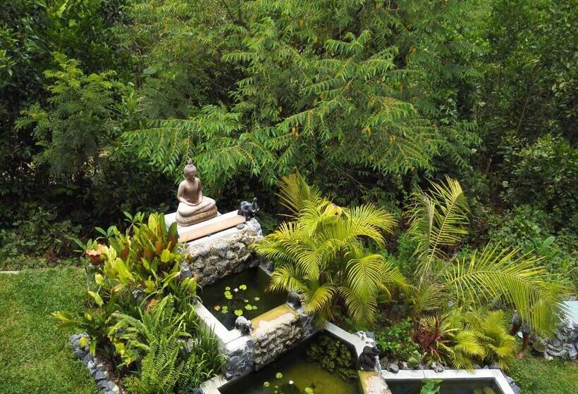 Апартаменты 1 Спальня с Балконом, Nananuira Apartment And Room