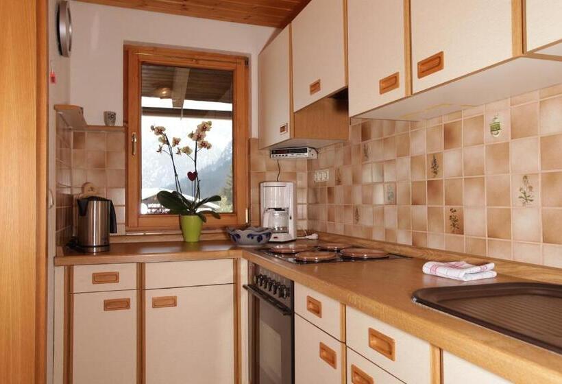 バルコニー付き１ベッドルームアパートメント, Haus Derra