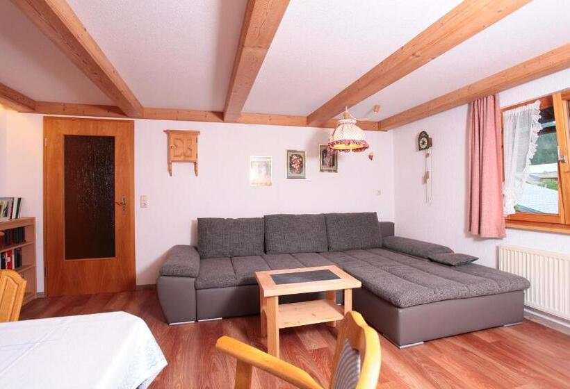 Апартаменты 1 Спальня с Балконом, Haus Derra