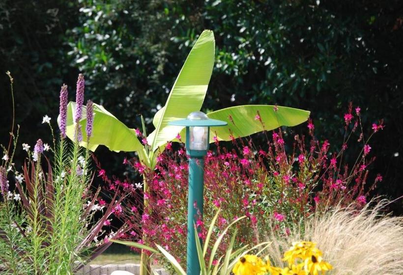 Номер Стандарт Вид на Море, Kerzara   Le Gîte