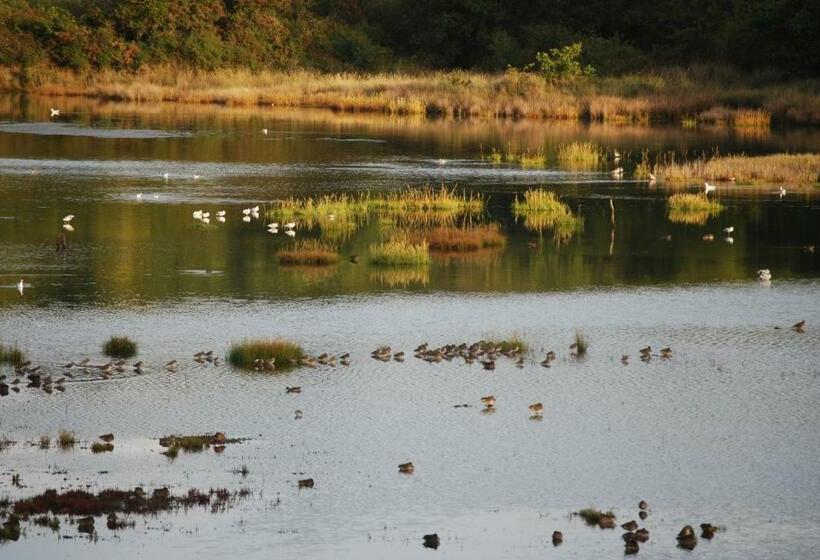 带海景的标准房, Kerzara   Le Gîte