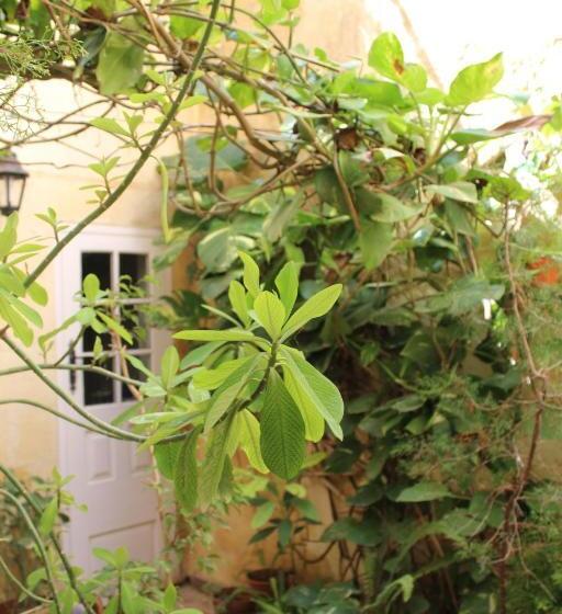 اتاق استاندارد, Maria Townhouse Heart Of Victoria B&b