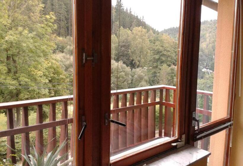 غرفة قياسية مزوَّدة بشُرفة, Penzion Havaj