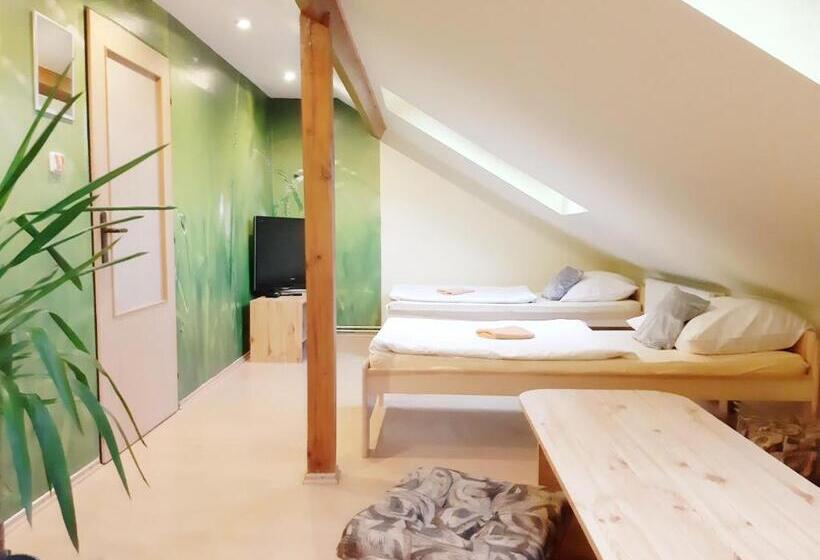 غرفة قياسية ثلاثية حمام مشترك, Penzion Havaj