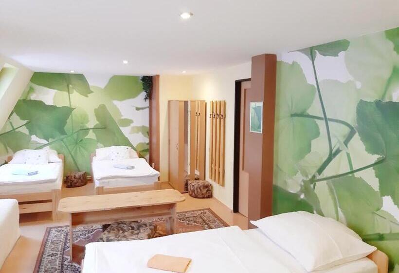 غرفة قياسية رباعية مطلة على الحديقة, Penzion Havaj