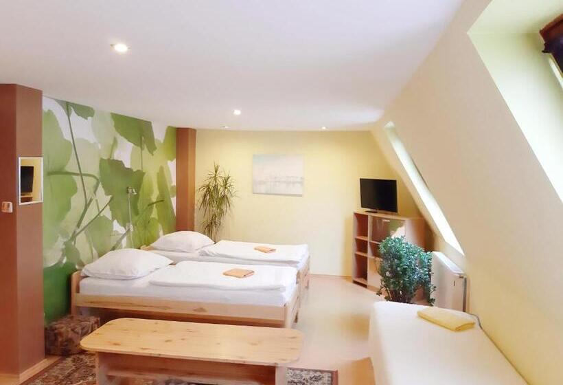 غرفة قياسية رباعية مطلة على الحديقة, Penzion Havaj