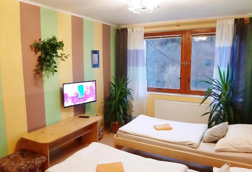 غرفة قياسية, Penzion Havaj