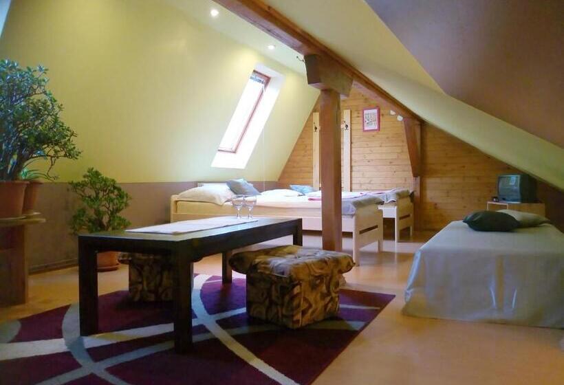 Номер Стандарт Вид на Сад, Penzion Havaj