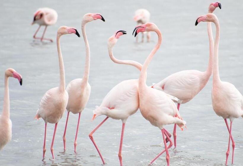 חדר סטנדרט לארבעה, Agriturismo Is Solinas