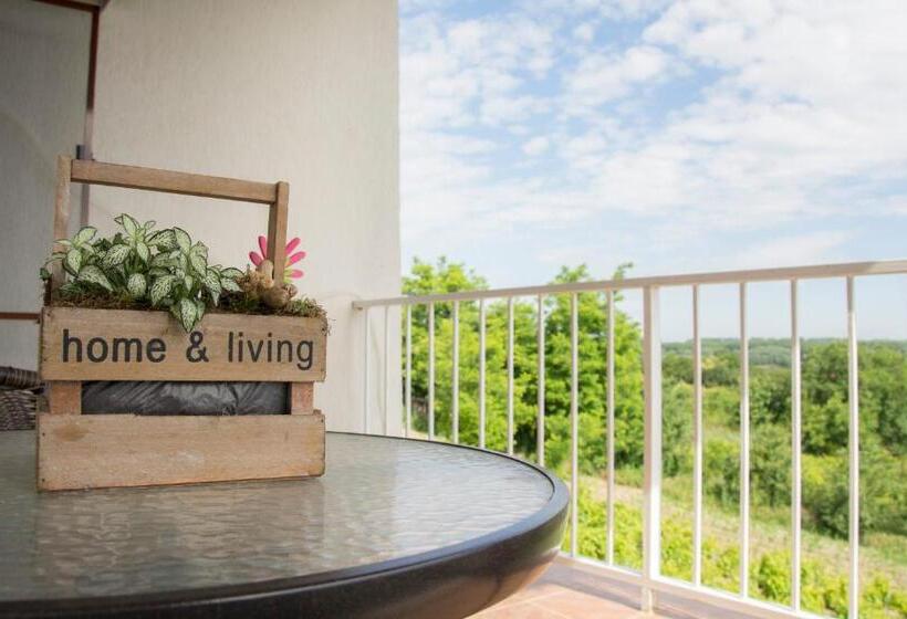 バルコニー付きスタンダードルーム, Pensiunea 4 Salcii