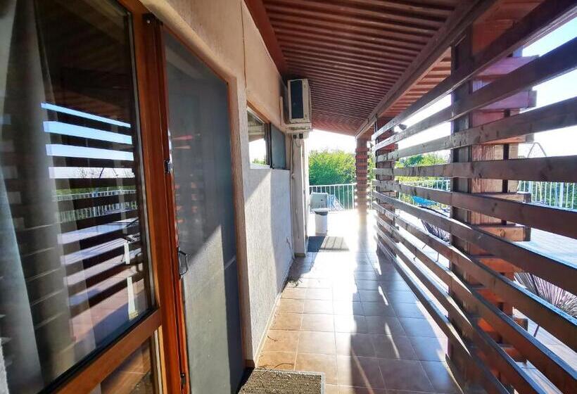 テラス付スタンダードルーム, Pensiunea 4 Salcii