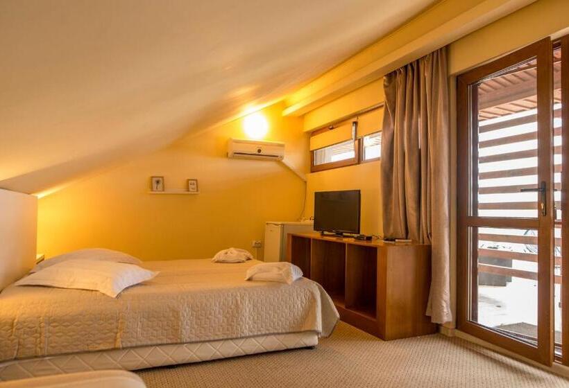 テラス付スタンダードルーム, Pensiunea 4 Salcii