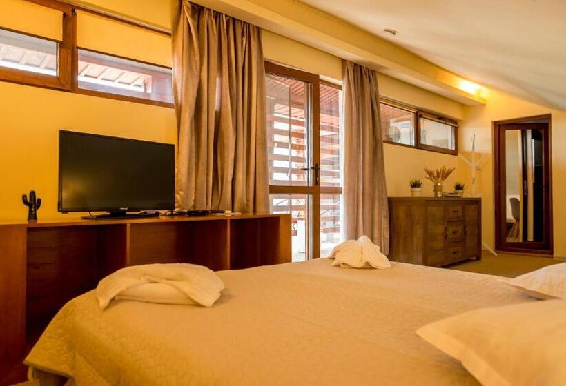 テラス付スタンダードルーム, Pensiunea 4 Salcii