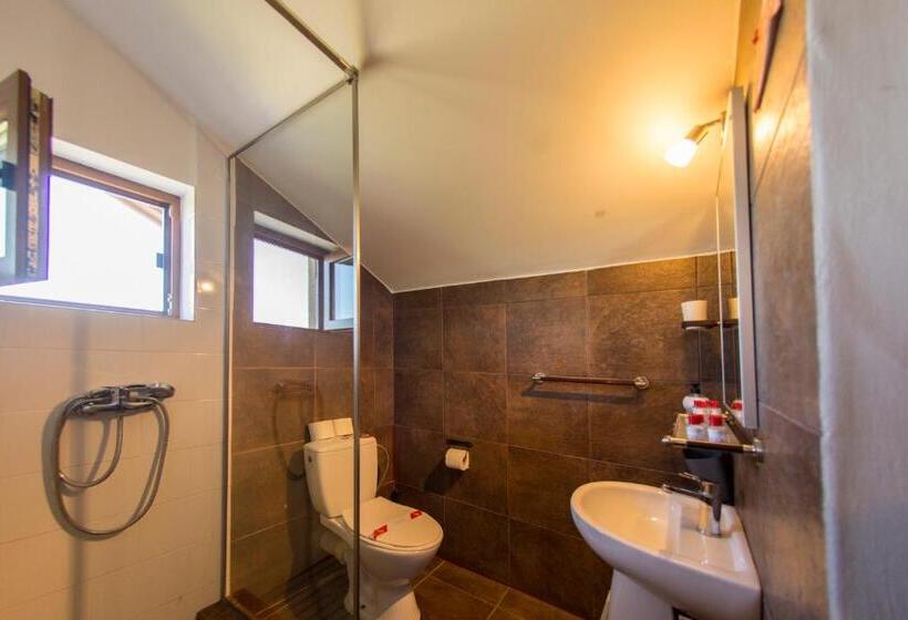 ファミリールーム, Pensiunea 4 Salcii