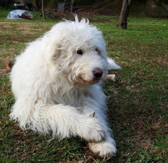 스탠다드 룸, B&b Ai Tre Archi