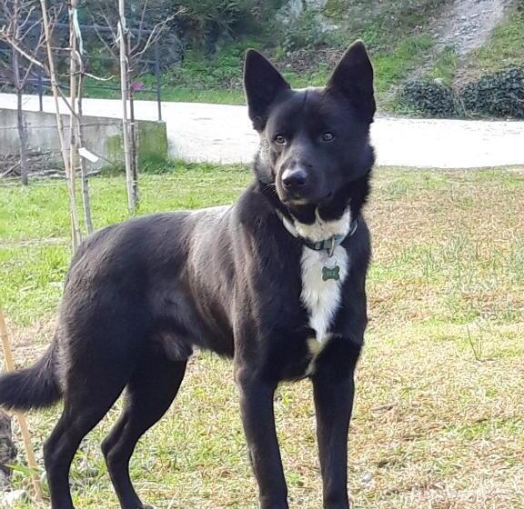 패밀리 룸, B&b Ai Tre Archi