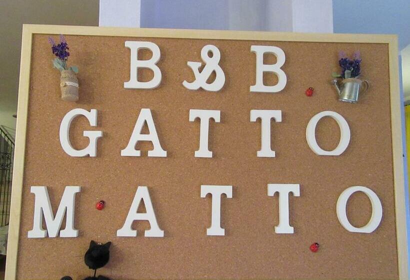 Номер Стандарт, Gatto Matto