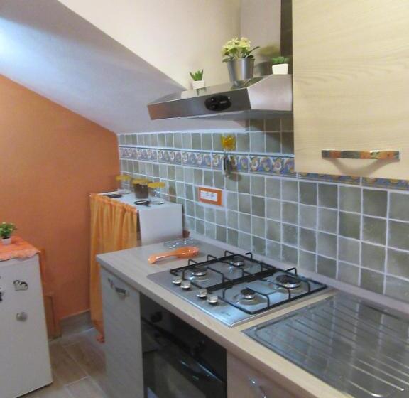 Номер Стандарт, Gatto Matto