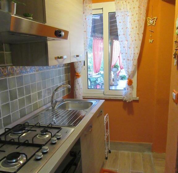 Номер Стандарт, Gatto Matto