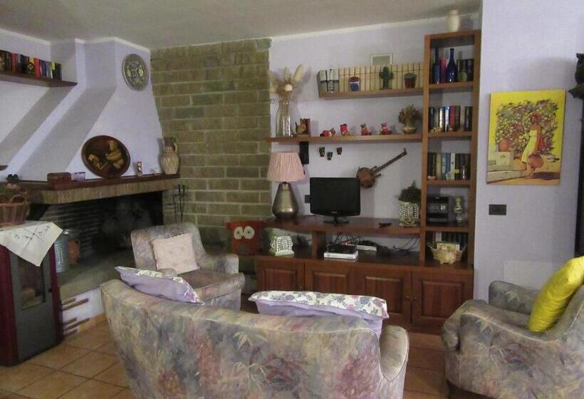 Номер Стандарт, Gatto Matto