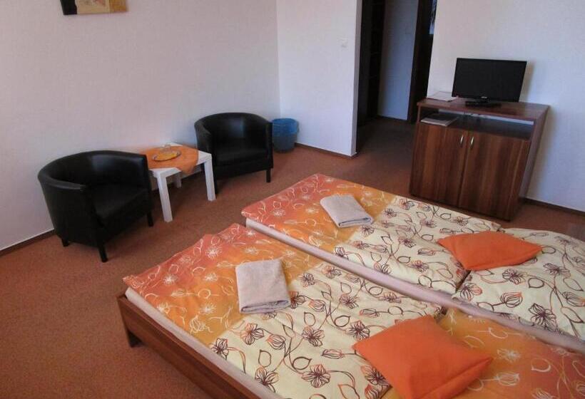 غرفة قياسية, Salur