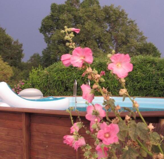 스탠다드 룸 킹사이즈 침대, The Wild Seeds