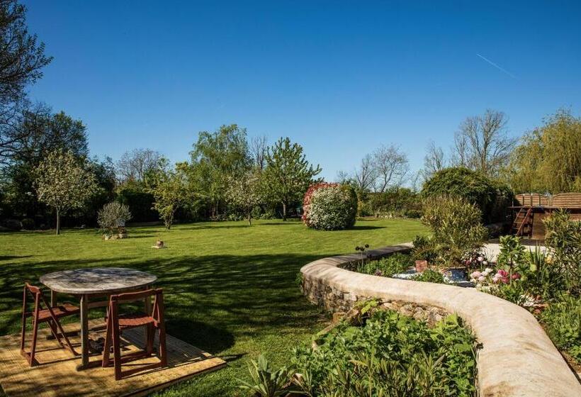 디럭스 스위트, The Wild Seeds