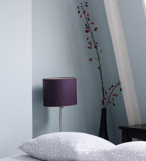 דירת חדר סופריור, Marnix Top: 8p Near Leidsche