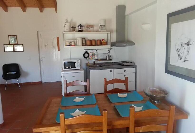 四人标准间, Casa Da Osga