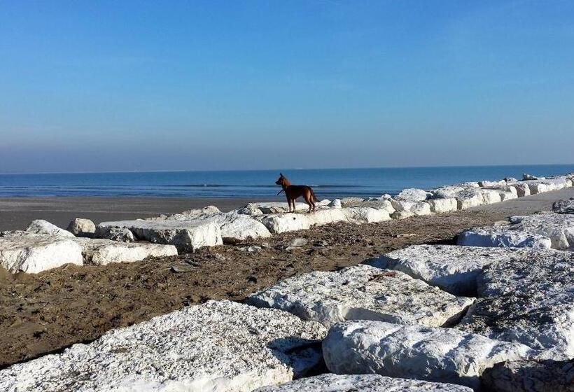 سوییت خانوادگی, L Antico Lido Venice