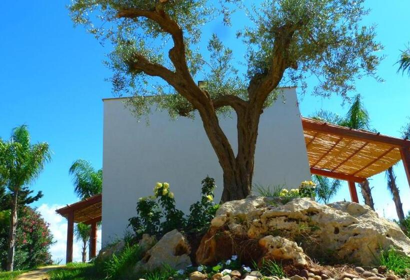 스탠다드 스튜디오 정원 전망, Trenasse