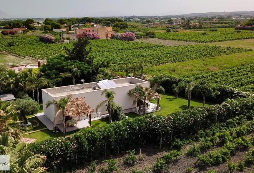 스탠다드 스튜디오 정원 전망, Trenasse